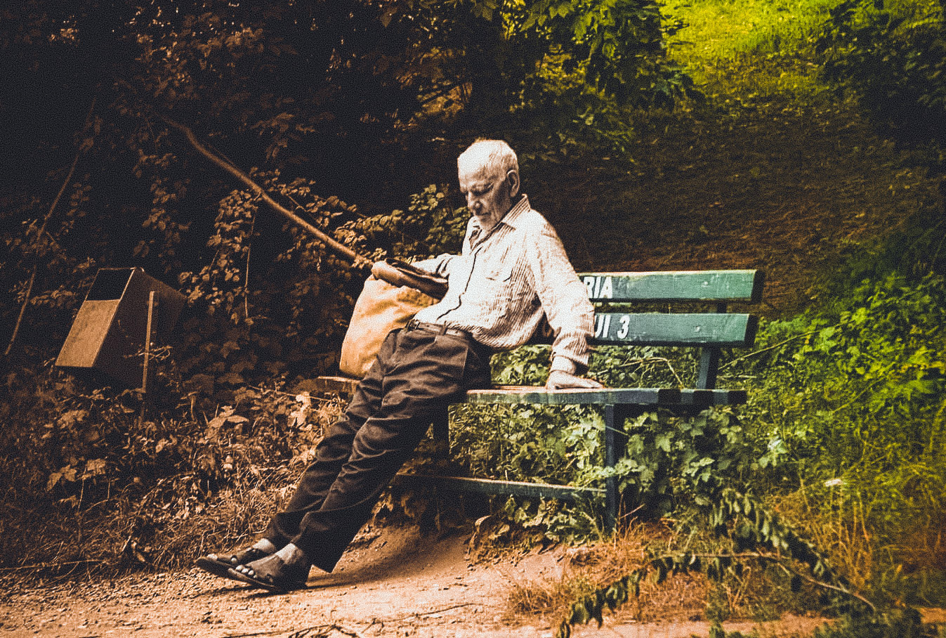 old man on a bench in a park
